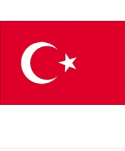 Flag Tyrkiet 20x30cm.